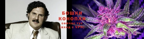 гашишное масло Белокуриха
