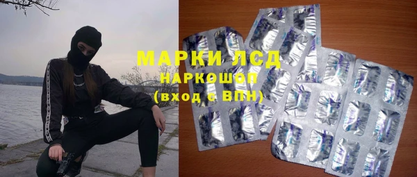ECSTASY Богданович