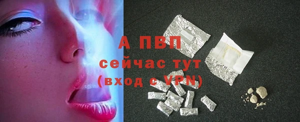 ECSTASY Богданович
