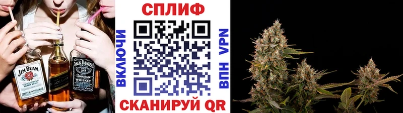Бошки марихуана Ganja  наркота  Сланцы 